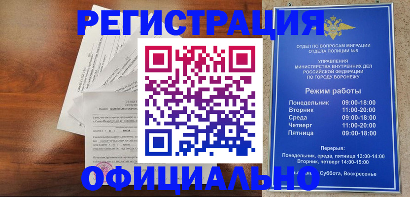 прописка поиск в Раменском